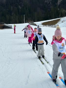 Solar na smuci, marec 2024, foto B J (3)